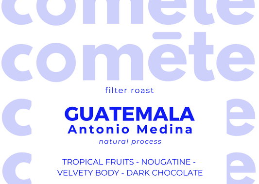 coffee beans from Guatemala, Antonio Medina, natural, caturra, bourbon, Tropical fruits, nougatine, velvety body, dark chocolate