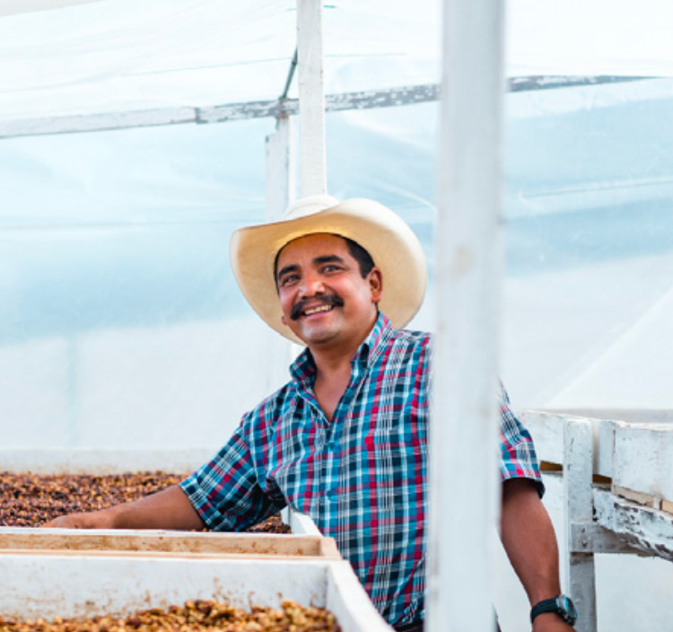 Rodolfo Garcia - La Pila coffee farm - Guatemala