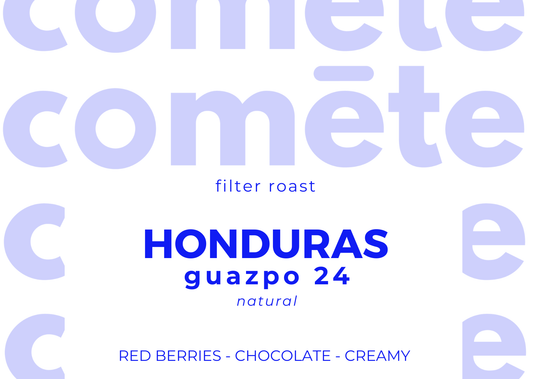 coffee beans from Honduras, Los encinos guazpo, natural, catuai, typica, IH90, red berries, chocolate, creamy